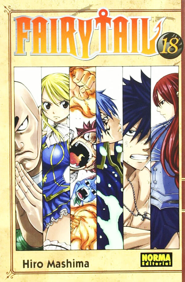 Manga Fairy Tail 18