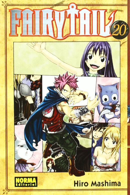 Manga Fairy Tail 20