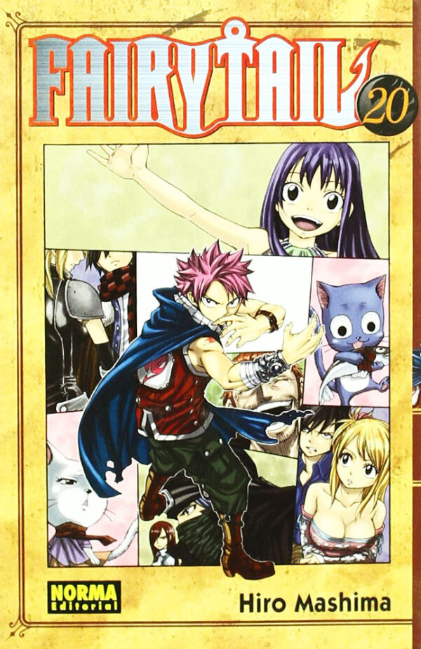 Manga Fairy Tail 20