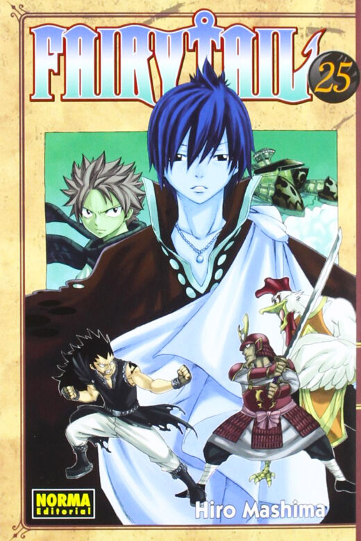 Manga Fairy Tail 25