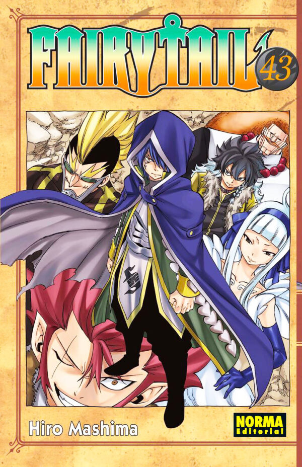 Manga Fairy Tail 43