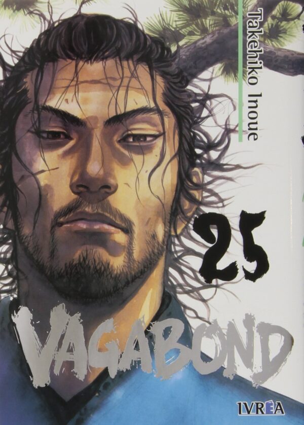 Manga Vagabond 25 » Tu Tienda Anime