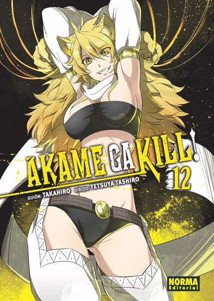 Akame ga Kill Manga 12