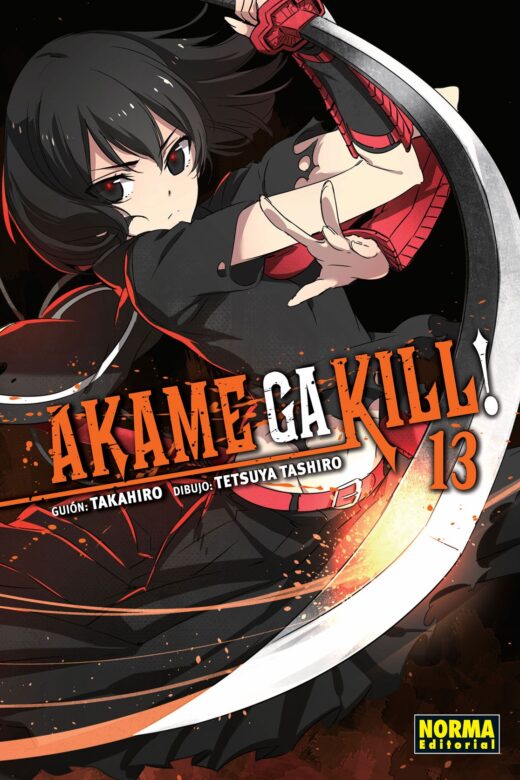 Akame ga Kill Manga 13