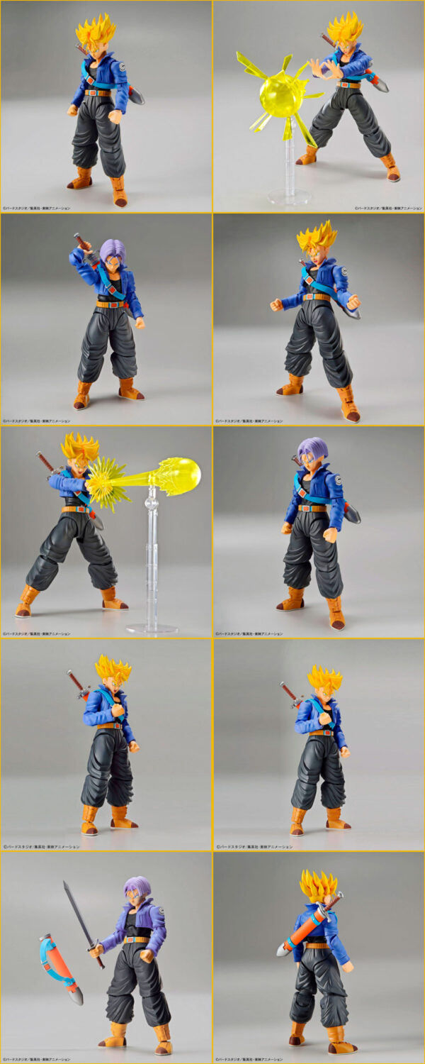 Figura Figure-rise Standard SS Trunks