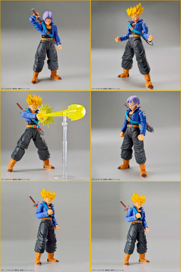 Figura Figure-rise Standard SS Trunks