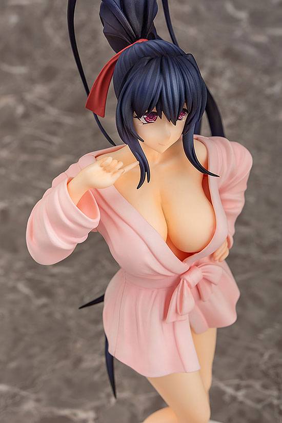 Figura High School DxD HERO Akeno Himejima Bathrobe