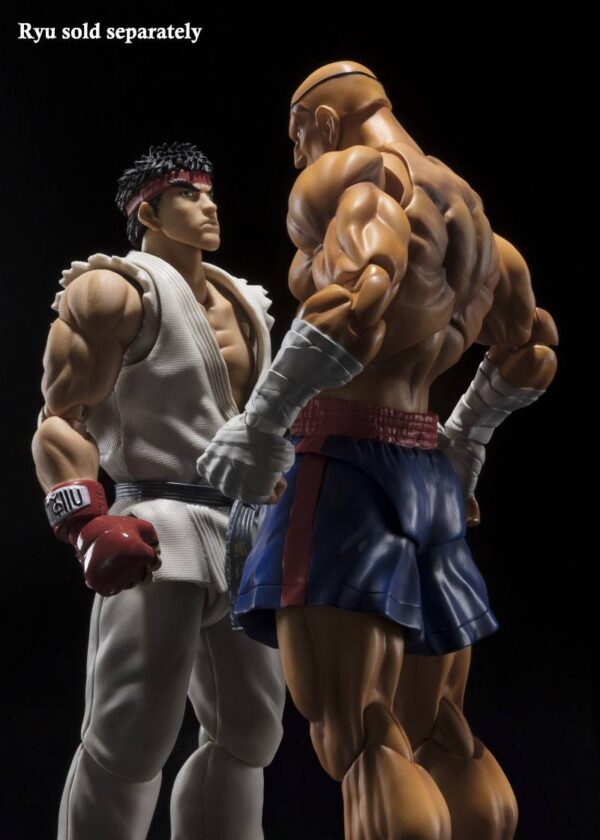 Descubre el apasionante mundo de Figura Street Fighter Sagat Tamashii.