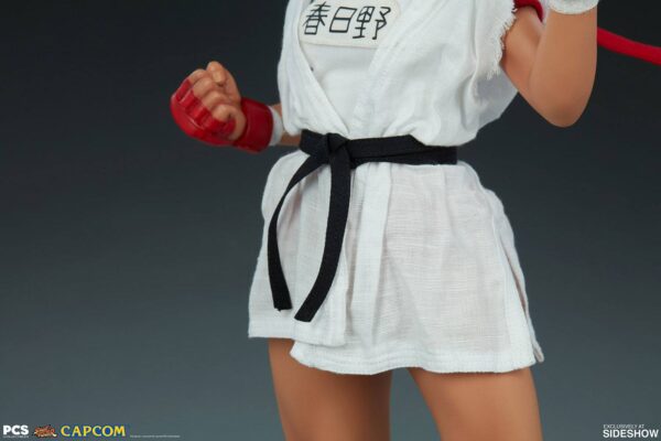 Figura Street Fighter Sakura Gym » Tu Tienda Anime