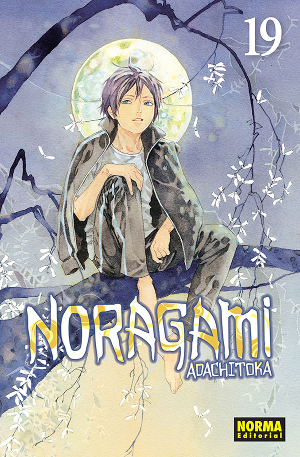 Manga Noragami tomo 19 » Tu Tienda Anime