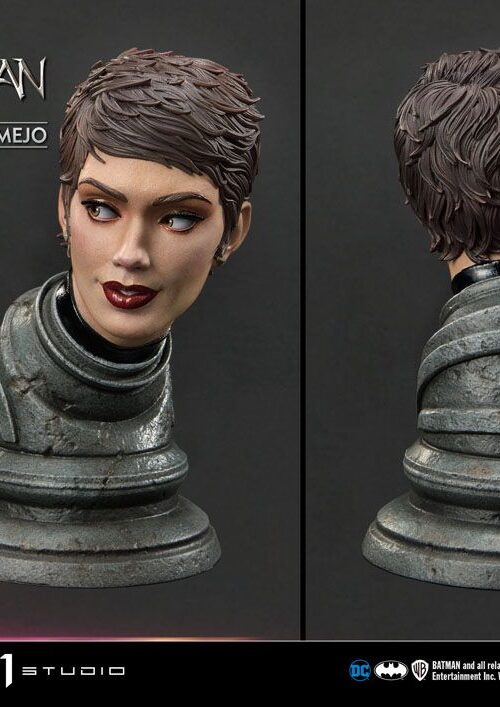 Estatua Catwoman Deluxe Bonus Version » Tu Tienda Anime Descubre el apasionante mundo de Estatua Catwoman Deluxe Bonus Version.