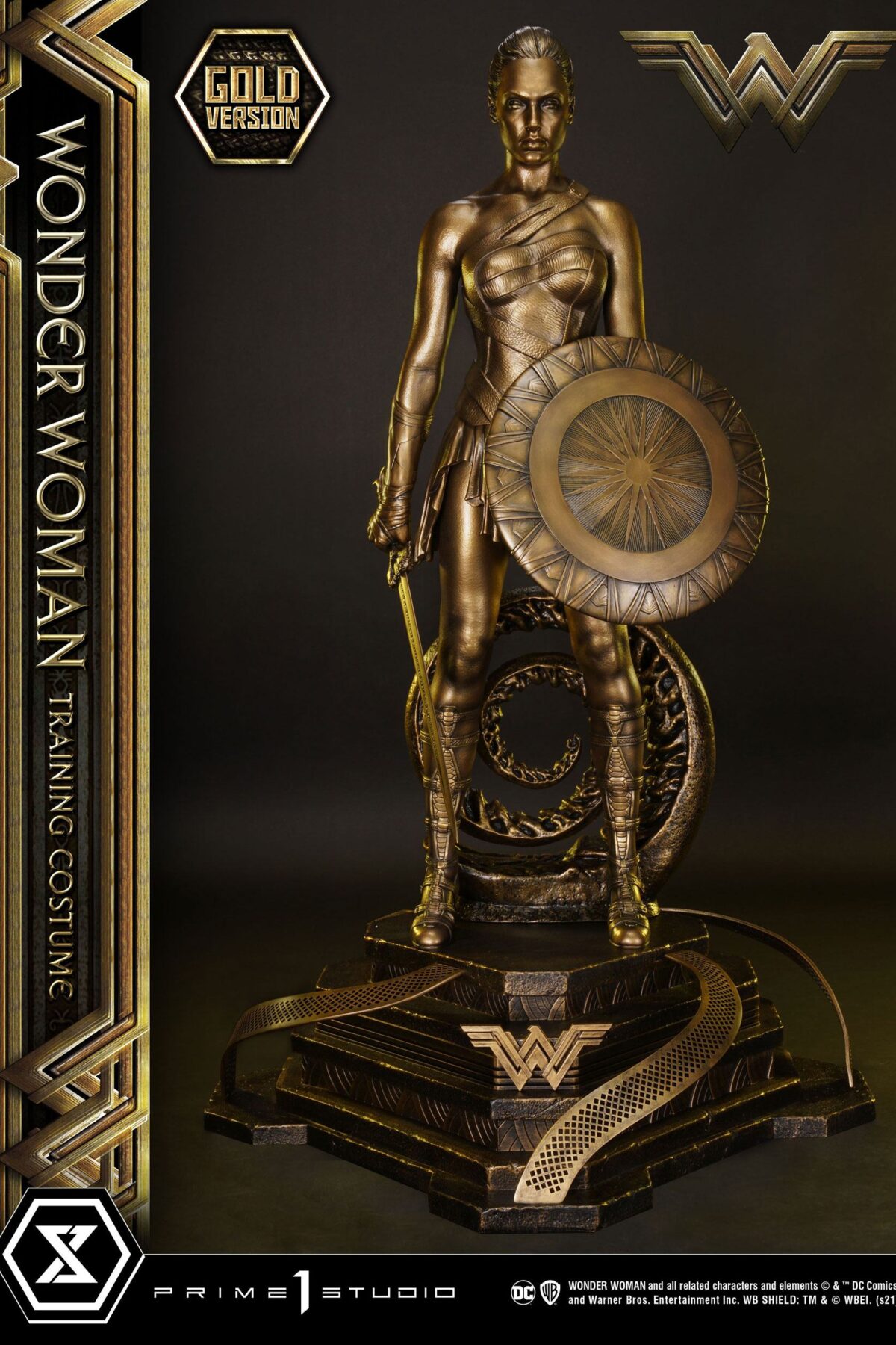 Descubre el apasionante mundo de Estatua Wonder Woman Training Costume.