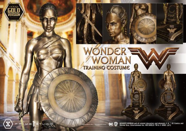 Estatua Wonder Woman Training Costume » Tu Tienda Anime Descubre el apasionante mundo de Estatua Wonder Woman Training Costume.