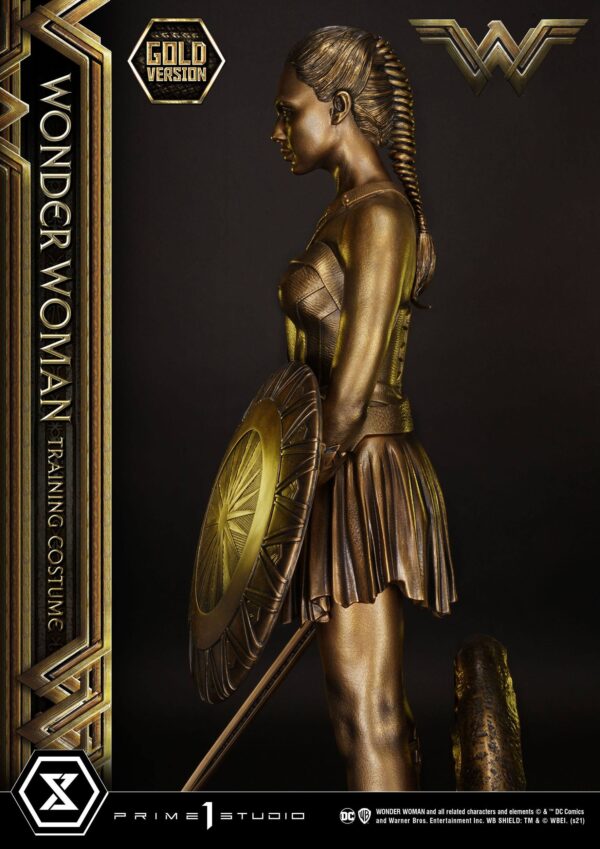 Estatua Wonder Woman Training Costume » Tu Tienda Anime Descubre el apasionante mundo de Estatua Wonder Woman Training Costume.