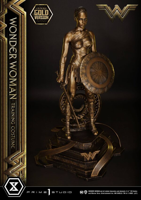 Estatua Wonder Woman Training Costume » Tu Tienda Anime Descubre el apasionante mundo de Estatua Wonder Woman Training Costume.