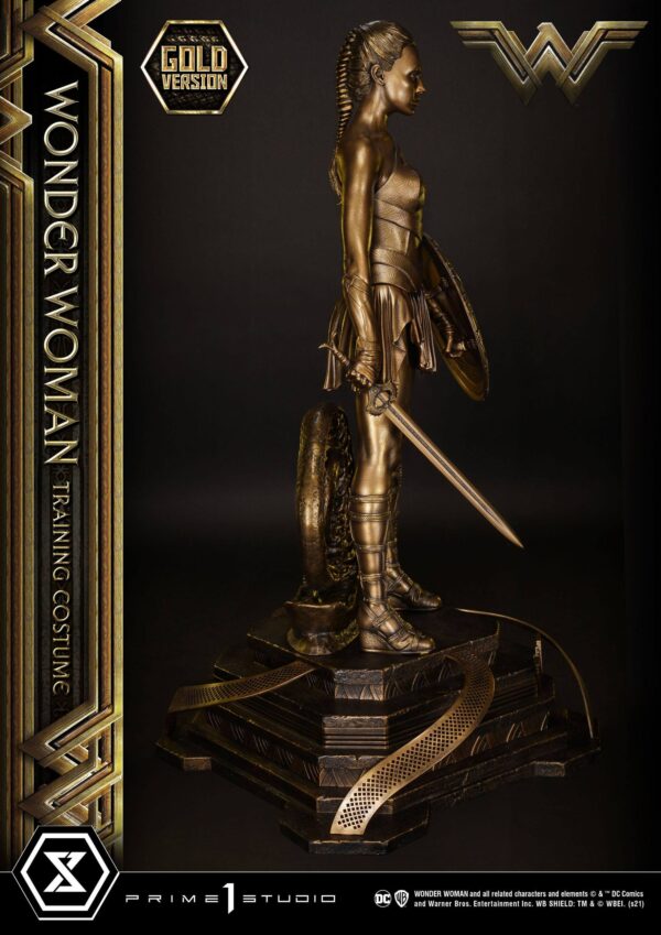 Estatua Wonder Woman Training Costume » Tu Tienda Anime Descubre el apasionante mundo de Estatua Wonder Woman Training Costume.