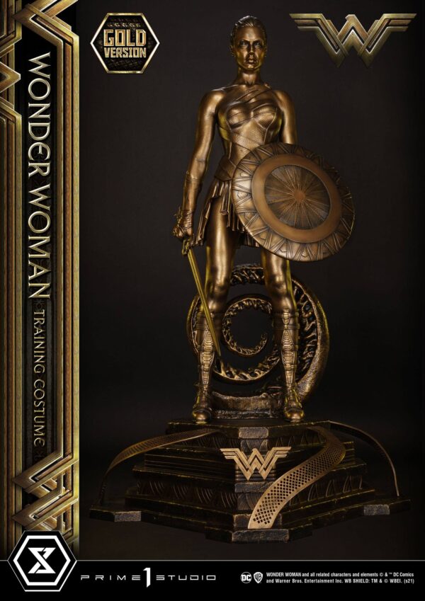 Estatua Wonder Woman Training Costume » Tu Tienda Anime Descubre el apasionante mundo de Estatua Wonder Woman Training Costume.