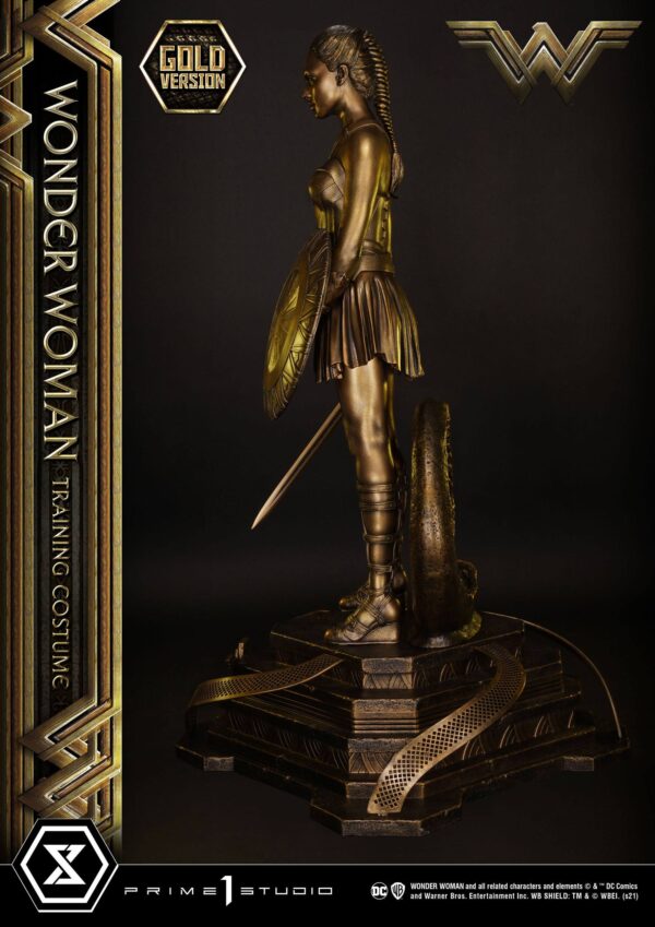 Estatua Wonder Woman Training Costume » Tu Tienda Anime Descubre el apasionante mundo de Estatua Wonder Woman Training Costume.