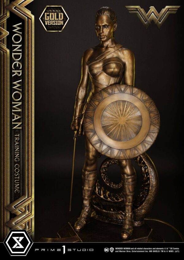 Estatua Wonder Woman Training Costume » Tu Tienda Anime Descubre el apasionante mundo de Estatua Wonder Woman Training Costume.
