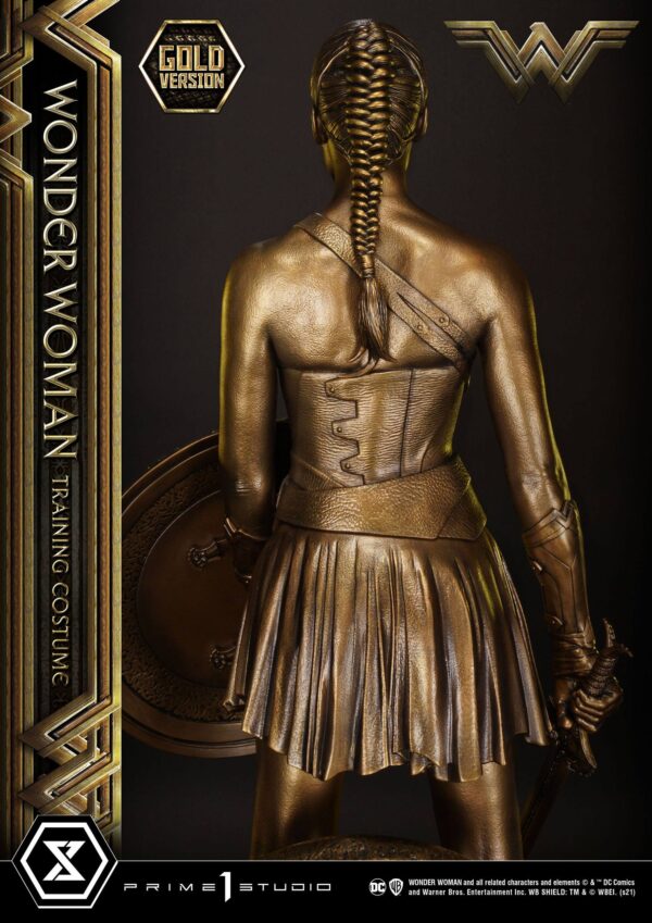 Estatua Wonder Woman Training Costume » Tu Tienda Anime Descubre el apasionante mundo de Estatua Wonder Woman Training Costume.