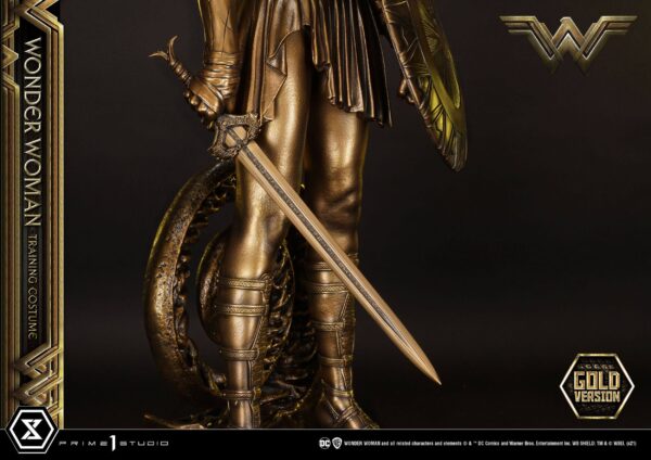 Estatua Wonder Woman Training Costume » Tu Tienda Anime Descubre el apasionante mundo de Estatua Wonder Woman Training Costume.
