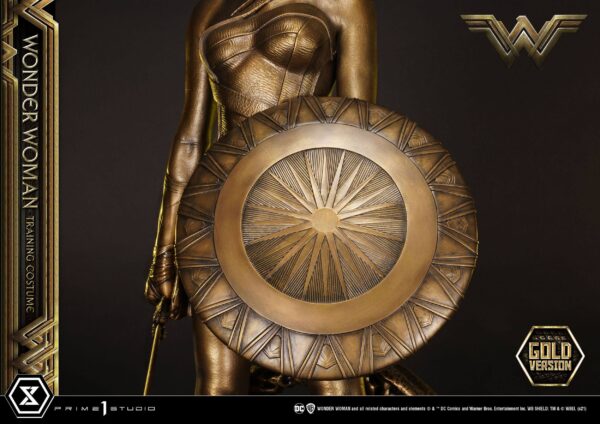 Estatua Wonder Woman Training Costume » Tu Tienda Anime Descubre el apasionante mundo de Estatua Wonder Woman Training Costume.