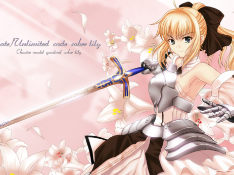 Fate/Unlimited Codes Wallpapers