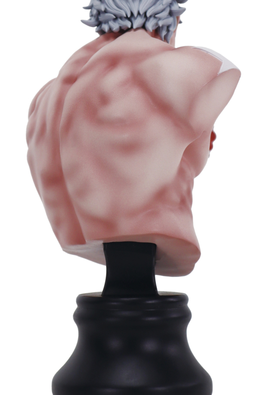 Descubre el apasionante mundo de Figura BMC Kinnikuman Serie 2 Terryman.