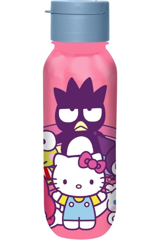 Descubre el apasionante mundo de Cantimplora Hello Kitty y Amigos 500ml.